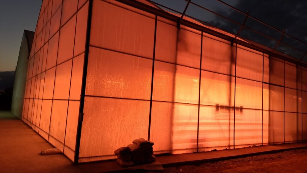 1729695497041 LUXLED barre di coltivazione EcoBar a Murcia