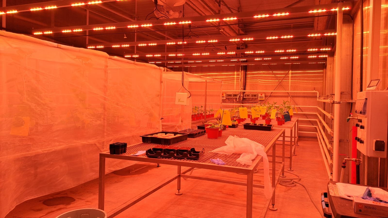 ECOBAR A MURCIA LUXLED ECOBAR a Murcia