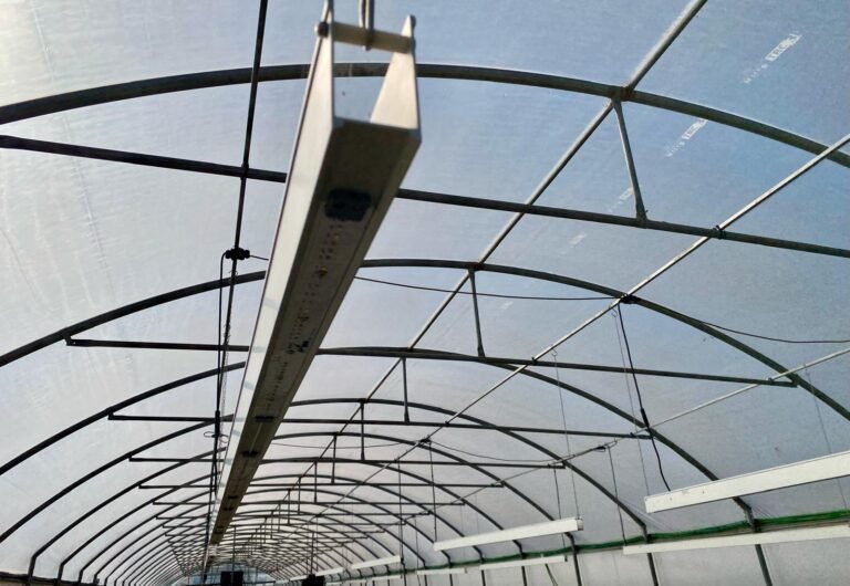 ECOBAR PER FIORI EDULI