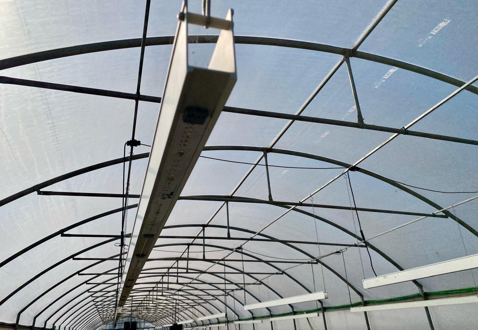 ECOBAR PER FIORI EDULI LUXLED ECOBAR PER FIORI EDULI