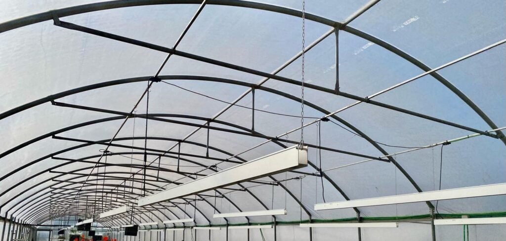 CANGARUS2 LUXLED CANGARUS2