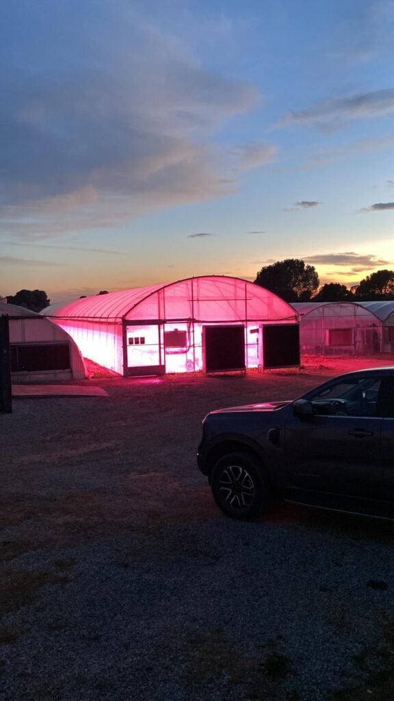 CANGARUS3 LUXLED CANGARUS3