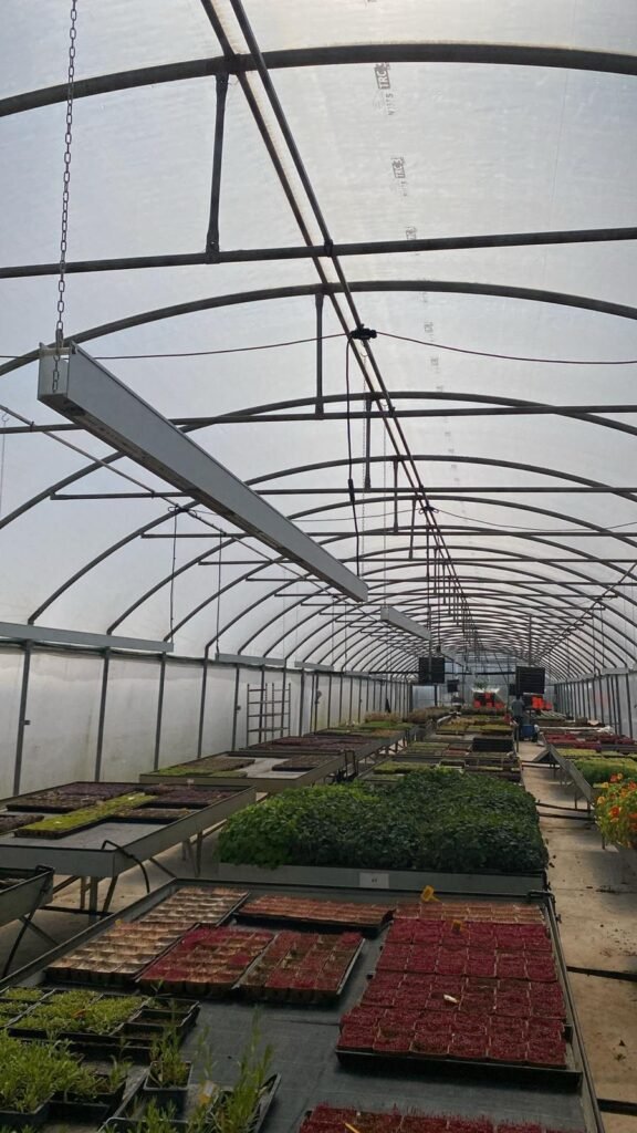 Ecobar growlight installation 