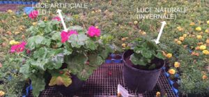 DIFFERENZA LUCE NATURALE E LUCE ARTIFICIALE