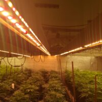 ECOBAR 1.5R BARRA DI COLTIVAZIONE