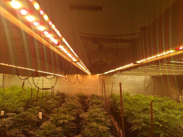 ECOBAR 1.5R BARRA DI COLTIVAZIONE