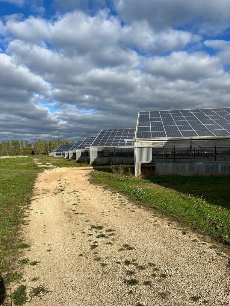 agrivoltaico