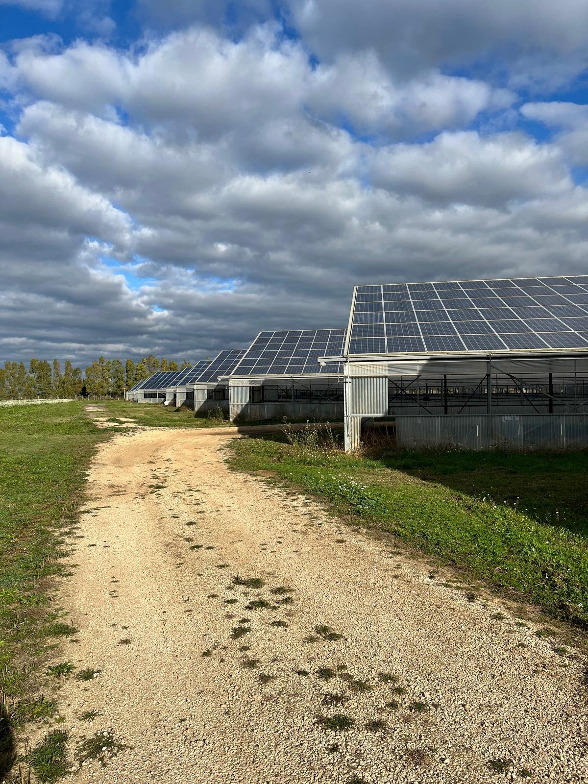 agrivoltaico