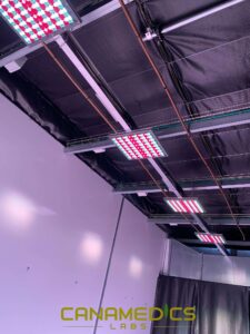 imagen 2 Canamedics Lux LEDlighting20